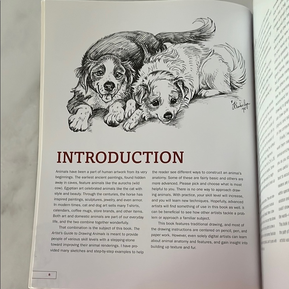 The Artist's Guide to Drawing Animals by J. C. Amberlyn - Picture 6 of 16